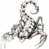 Scorpionlady